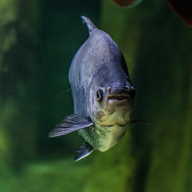 Rizika spojená s finanční pákou u XTB