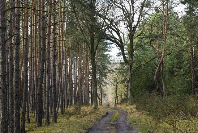 Způsoby diverzifikace portfolia pro minimalizaci rizika