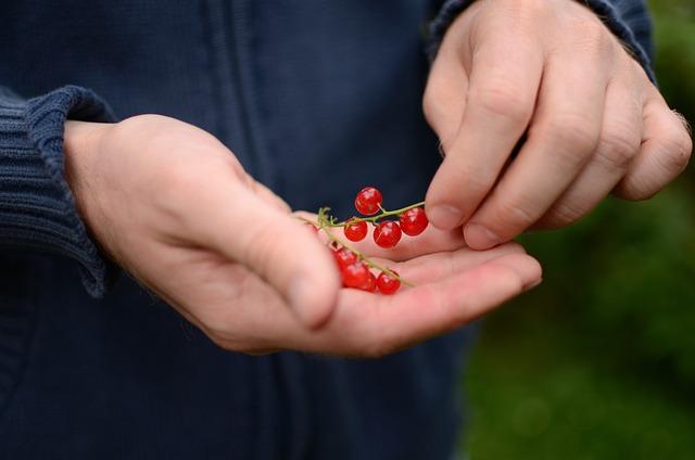 Důležité tipy pro minimalizaci rizika‌ a zabezpečení ‍investic